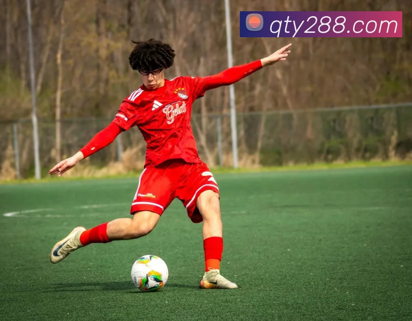 App Interface Preview