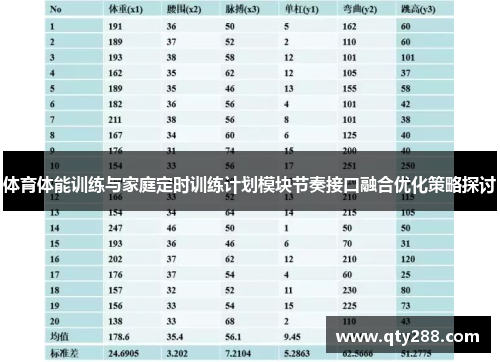 体育体能训练与家庭定时训练计划模块节奏接口融合优化策略探讨